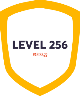 Level256